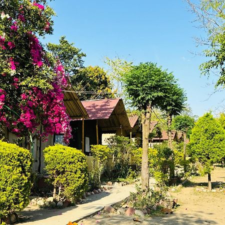 Camp High 5 Jayalgarh Hotel Dangchura Exterior photo